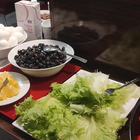 Versıon Otel 3*