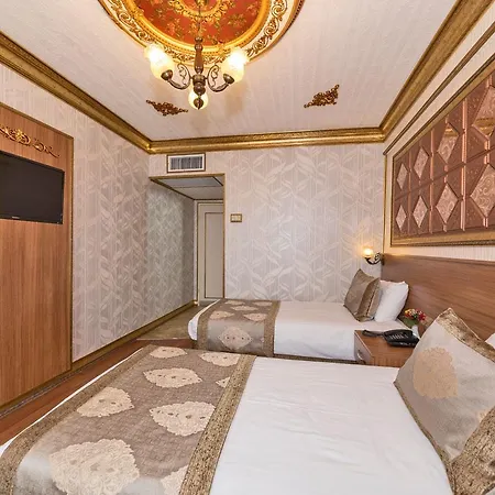Versıon 3*