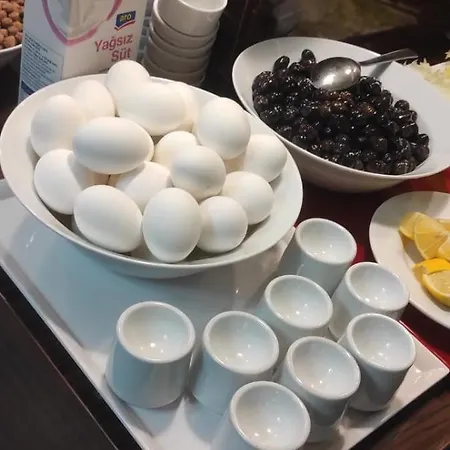 Version ホテル イスタンブール